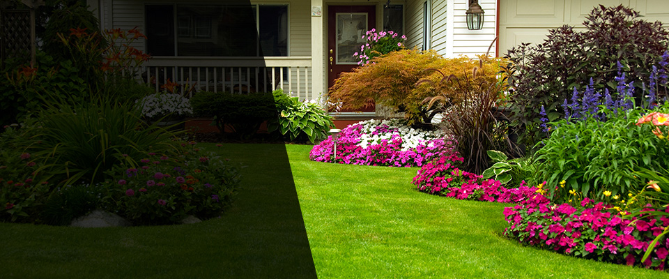 Hicksville Landscapers